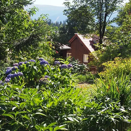 Trzy Kultury Zloty Widok *